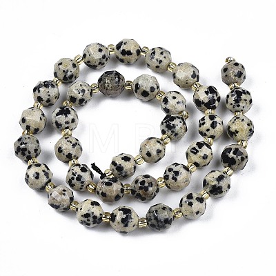 Natural Dalmatian Jasper Beads Strands X-G-N326-100-02-1