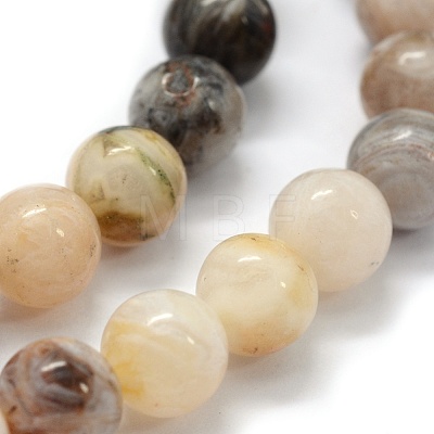 Natural Bamboo Leaf Agate Beads Strands G-G763-03-10mm-1