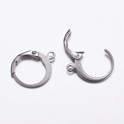 304 Stainless Steel Hoop Earrings STAS-K146-038-14.5mm-1