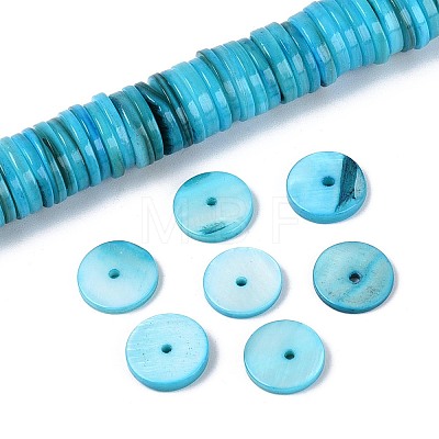 Natural Freshwater Shell Beads Strands SHEL-N037-03A-03-1