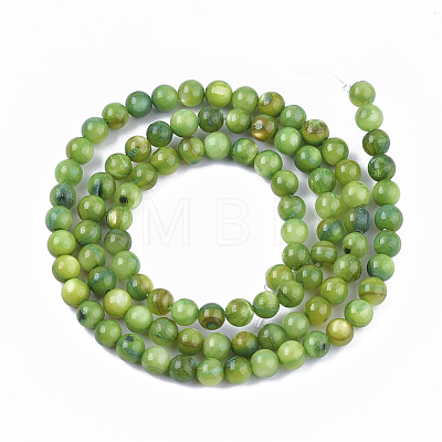 Freshwater Shell Beads Strands X-SHEL-S276-32D-1