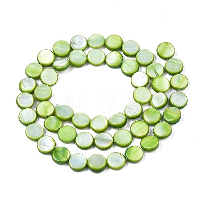 Freshwater Shell Beads Strands X-SHEL-T009-B16-04-1