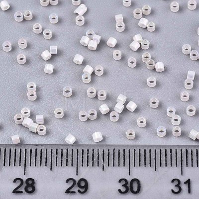11/0 Grade A Baking Paint Glass Seed Beads X-SEED-S030-0371-1