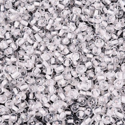 Glass Seed Beads SEED-T007-10D-1