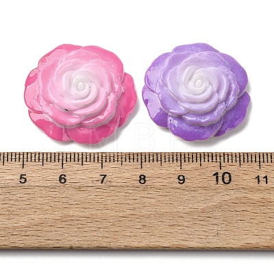 Opaque Resin Cabochons CRES-I046-06-1