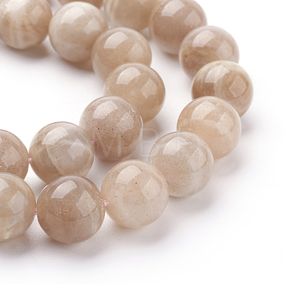 Natural Sunstone Beads Strands G-G099-10mm-14-1