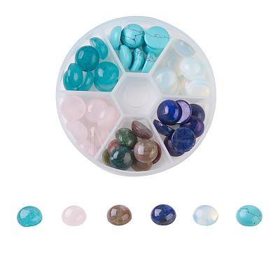 Natural Rose Quartz & Lapis Lazuli & Indian Agate & White Jade & Opalite & Synthetic Turquoise Cabochons G-JP0001-10-12mm-1