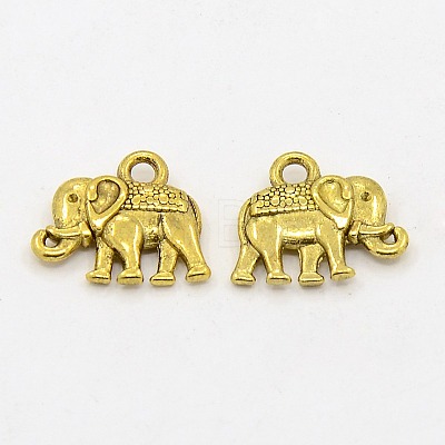 Tibetan Style Alloy Charms PALLOY-P220-01AG-NR-1