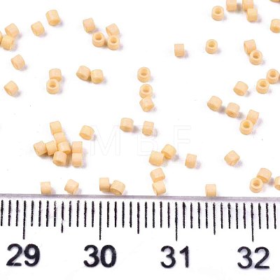 11/0 Grade A Glass Seed Beads SEED-S030-1017-1