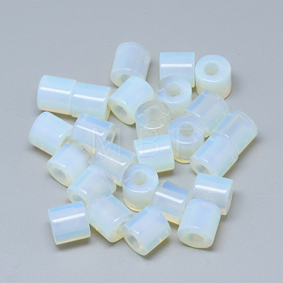 Opalite Beads G-T073-21P-1