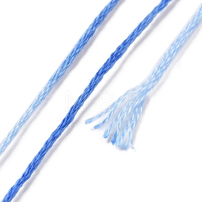 10 Skeins 6-Ply Polyester Embroidery Floss OCOR-K006-A49-1