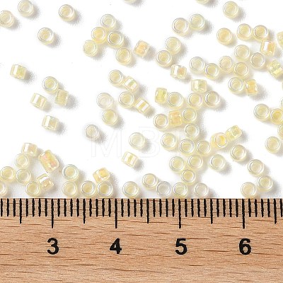 Glass Seed Beads SEED-S042-13A-02-1