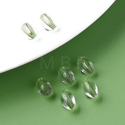 Transparent Acrylic Beads LS-MACR-S373-134-T03-1
