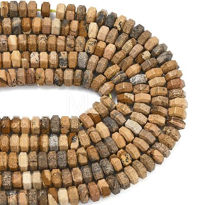 Natural Picture Jasper Beads Strands G-L654-I07-01-1