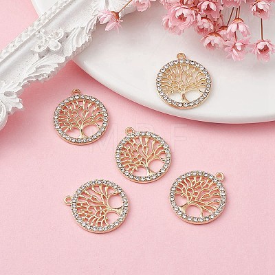 Alloy Crystal Rhinestone Pendants FIND-YW0003-63-1