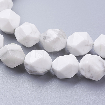 Natural Howlite Beads Strands G-J376-40-10mm-1