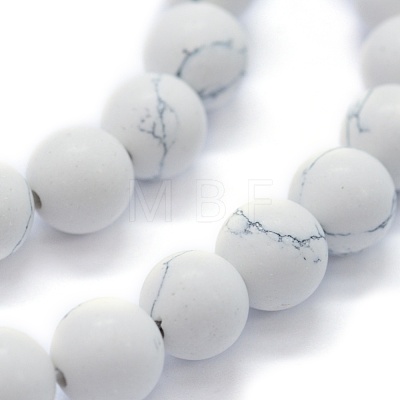 Synthetic Turquoise Beads Strands G-P387-02-8mm-1