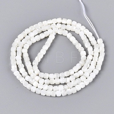 Natural Trochid Shell/Trochus Shell Beads Strands BSHE-T014-52A-01-1