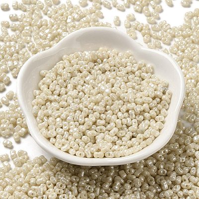 Glass Seed Beads SEED-K009-02A-08-1