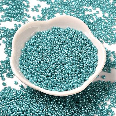 Baking Paint Glass Seed Beads SEED-P006-03A-31-1