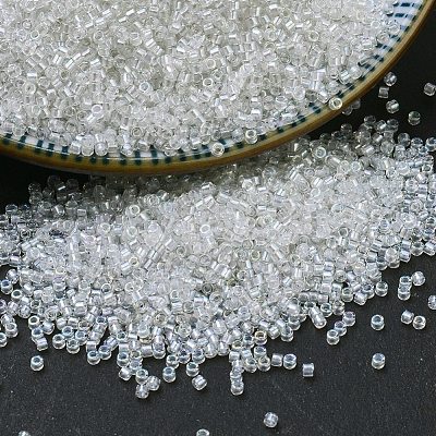 MIYUKI Delica Beads SEED-X0054-DB1671-1