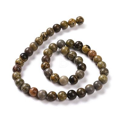 Natural Dendritic Jasper Beads Strands G-H1632-8MM-1