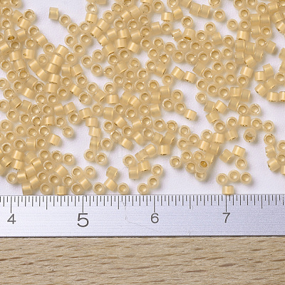 MIYUKI Delica Beads SEED-X0054-DB0230-1