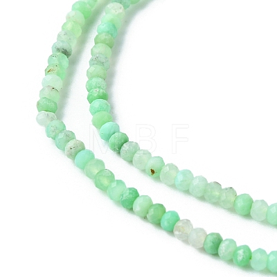 Natural Chrysoprase Beads Strands G-F748-X02-1