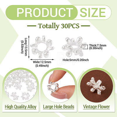 Alloy European Beads FIND-TAC0027-39S-1