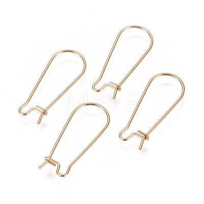 Ion Plating(IP) 304 Stainless Steel Hoop Earrings Findings Kidney Ear Wires X-STAS-L216-22B-G-1