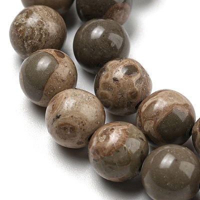 Natural Map Stone/Picasso Stone Beads Strands G-R494-A24-03-1