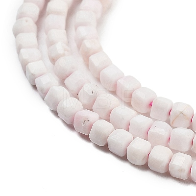 Natural Sea Shell Beads Strands G-H042-B33-01-1