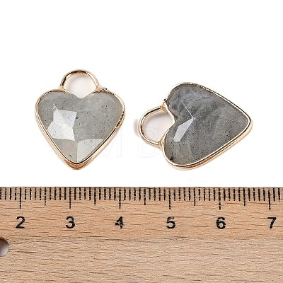 Natural Labradorite Faceted Pendans KK-L218-005G-03-1