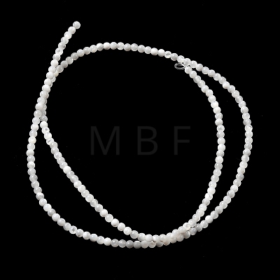 Natural White Shell Beads G-N0190-11-2mm-1