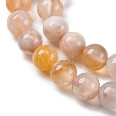 Natural Cherry Blossom Agate Beads Strands G-O166-02-8mm-01-1