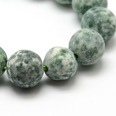 Frosted Natural Green Spot Jasper Round Bead Strands G-M064-10mm-10-1
