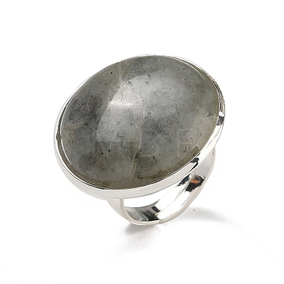 Natural Labradorite Round Adjustable Rings RJEW-K371-09S-15-1