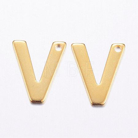 304 Stainless Steel Charms STAS-P141-V-1