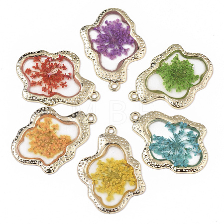Epoxy Resin Pendants RESI-T045-028-1