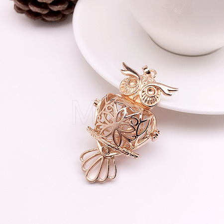 Brass Bead Cage Pendants BECA-PW0001-02A-1