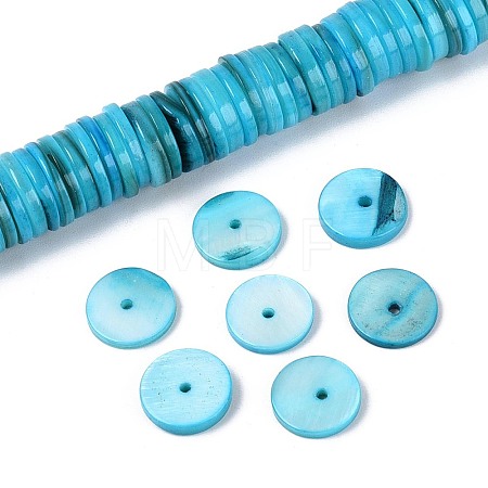 Natural Freshwater Shell Beads Strands SHEL-N037-03A-03-1