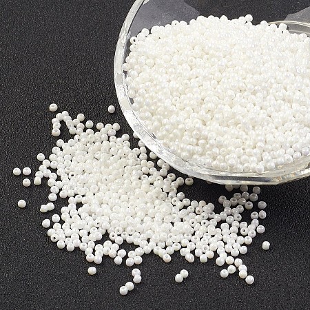 FGB 12/0 Grade A Round Glass Seed Beads SEED-A022-FC12-401-1