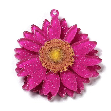 Printed Transparent Acrylic Pendants SACR-P029-B02-1