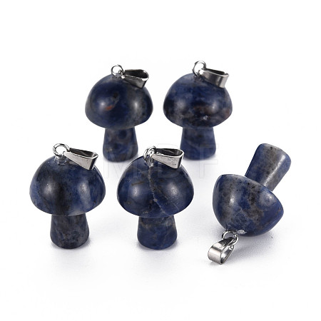 Natural Sodalite Pendants G-N0325-10K-1