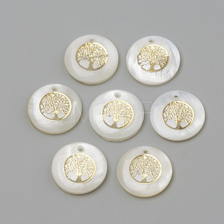 Freshwater Shell Pendants X-SHEL-Q010-011G-1