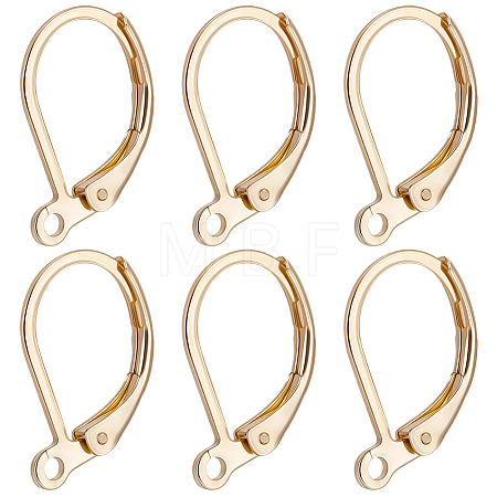 100Pcs 316L Surgical Stainless Steel Leverback Earring Findings STAS-BBC0010-91-1