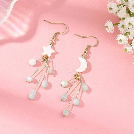 304 Stainless Steel Glass Dangle & Drop Earrings EJEW-JE07525-1
