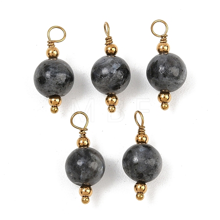 Natural Larvikite Pendants GG-CBA5E56-07G-04-1