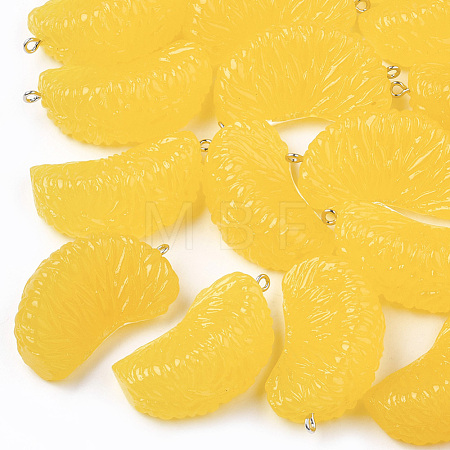 Resin Pendants RESI-T028-25B-1