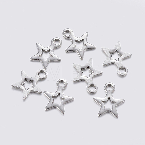 304 Stainless Steel Charms STAS-F159-48P-1